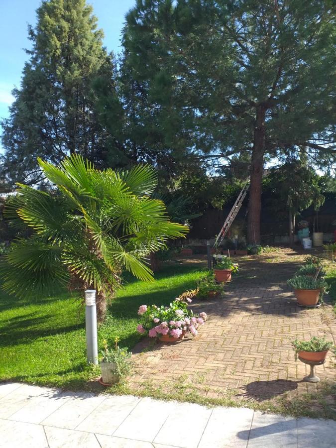 Antica Cascina B&B Borghetto Lodigiano Exteriér fotografie